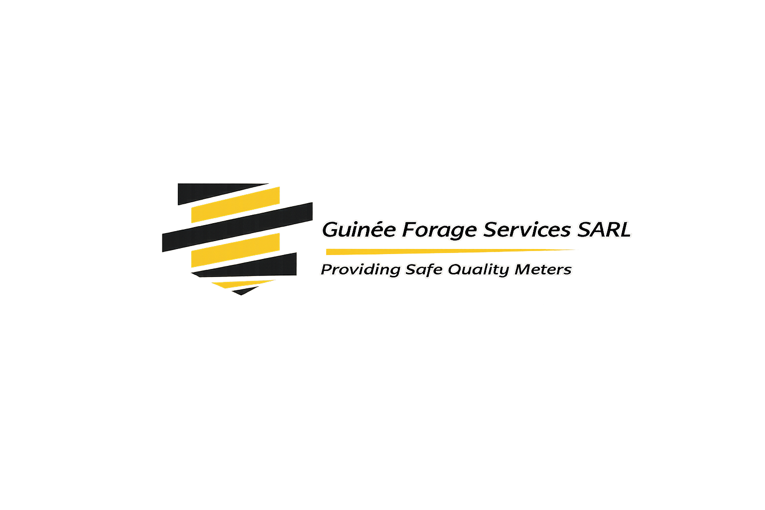 Logo GFS - GUINEE