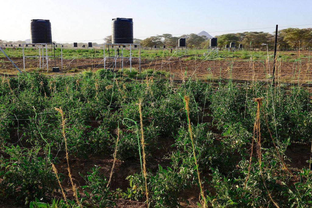 Irrigation agricole